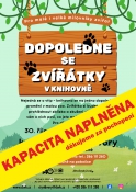 Dopoledne se zvířátky