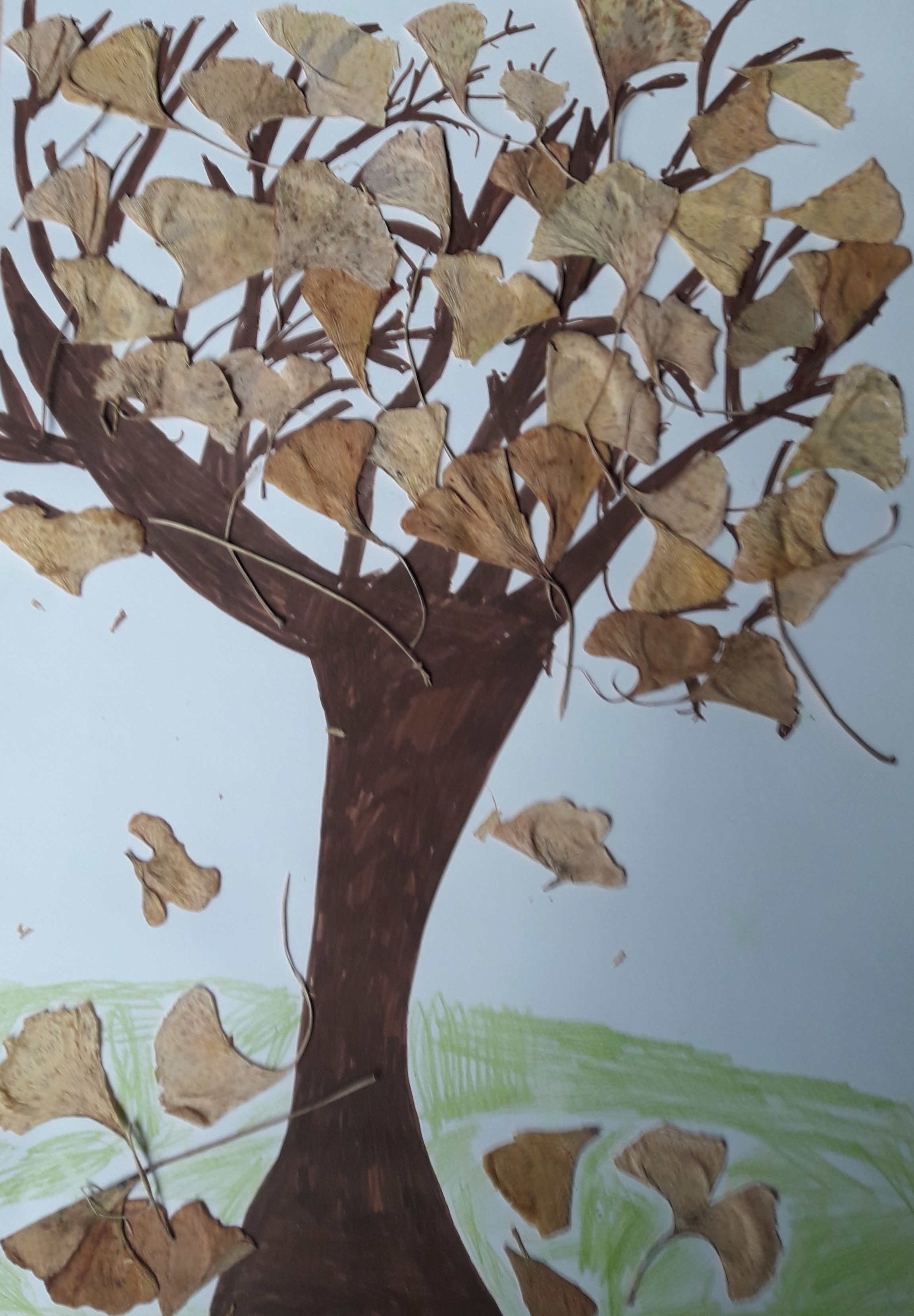 II. kategorie - 1.místo