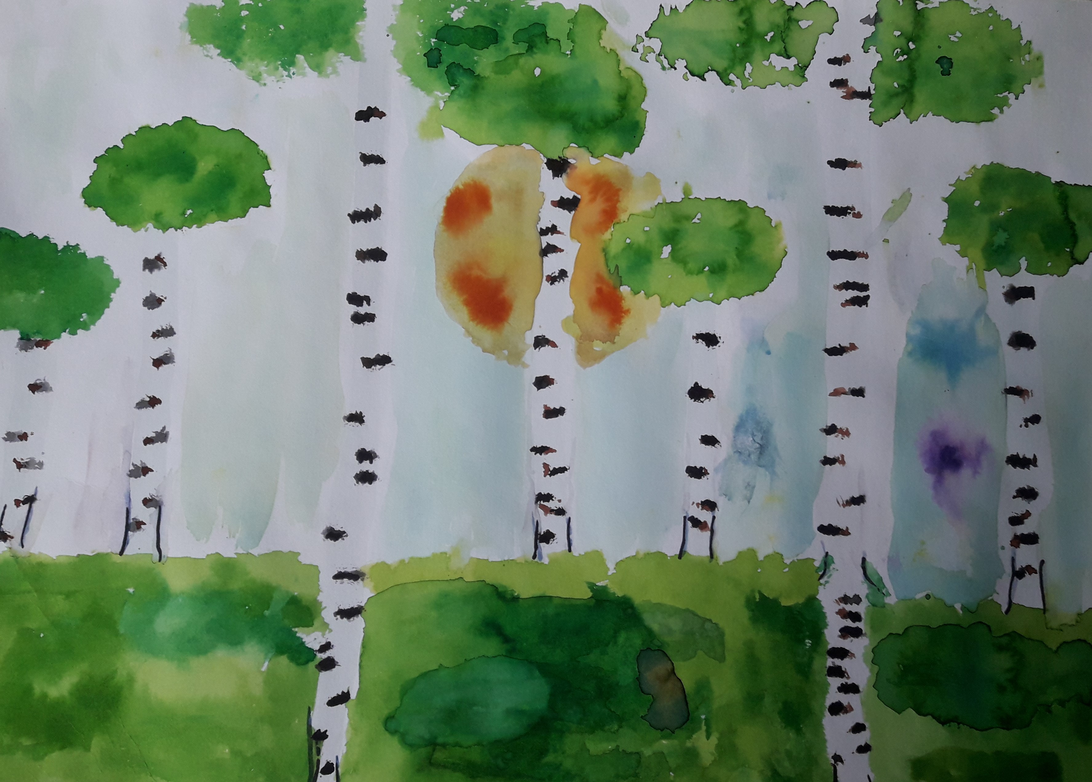 III. kategorie - 1.místo