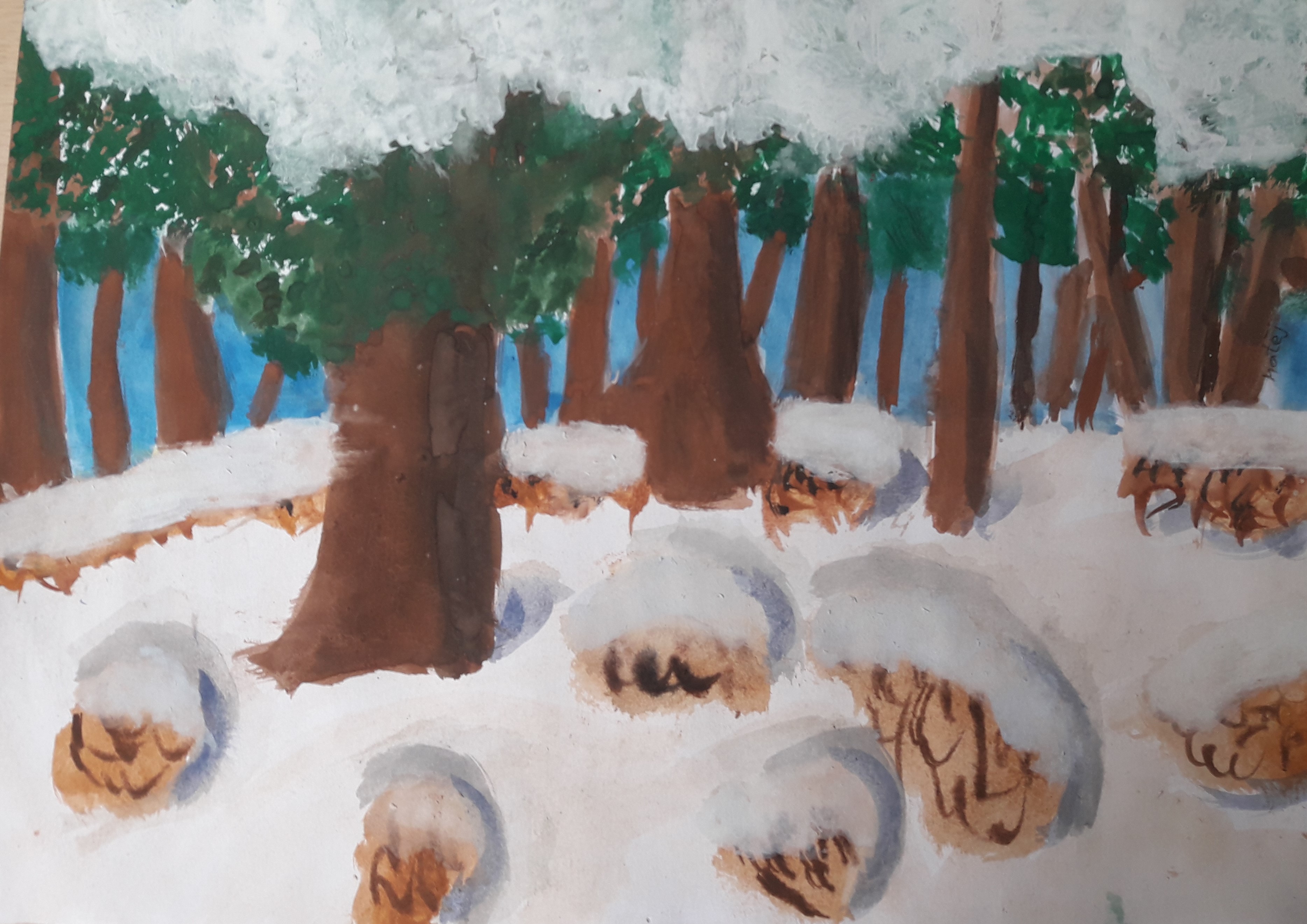 IV. kategorie - 2.místo