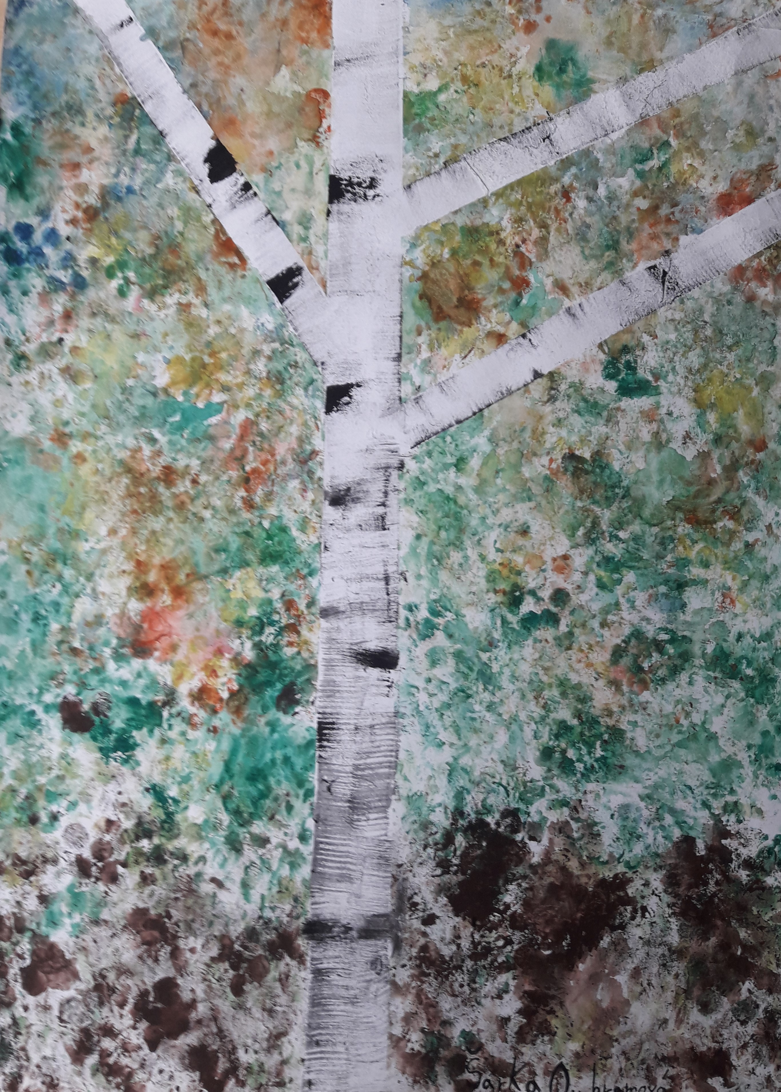 IV. kategorie - 3.místo