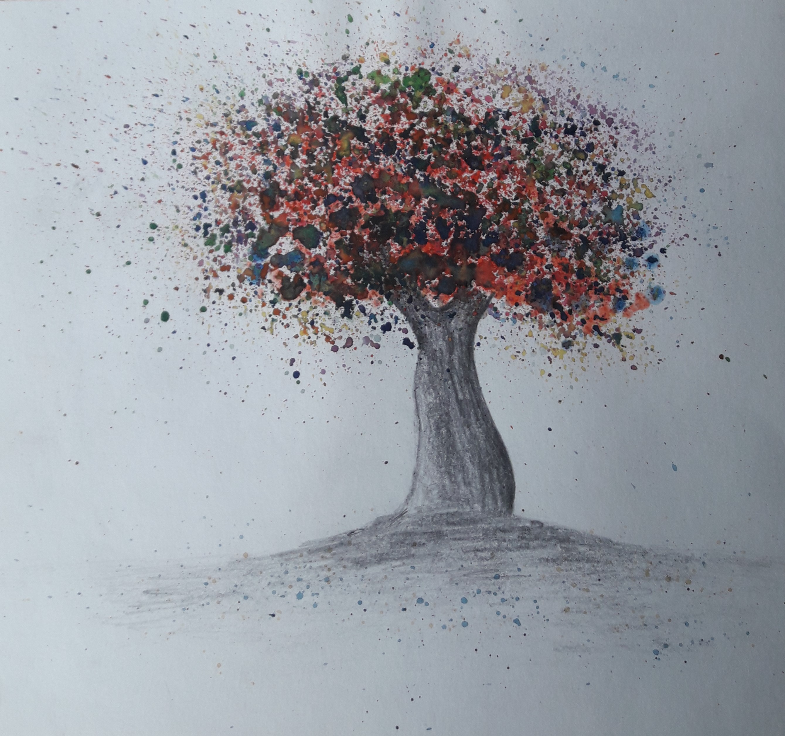 V. kategorie - 1.místo