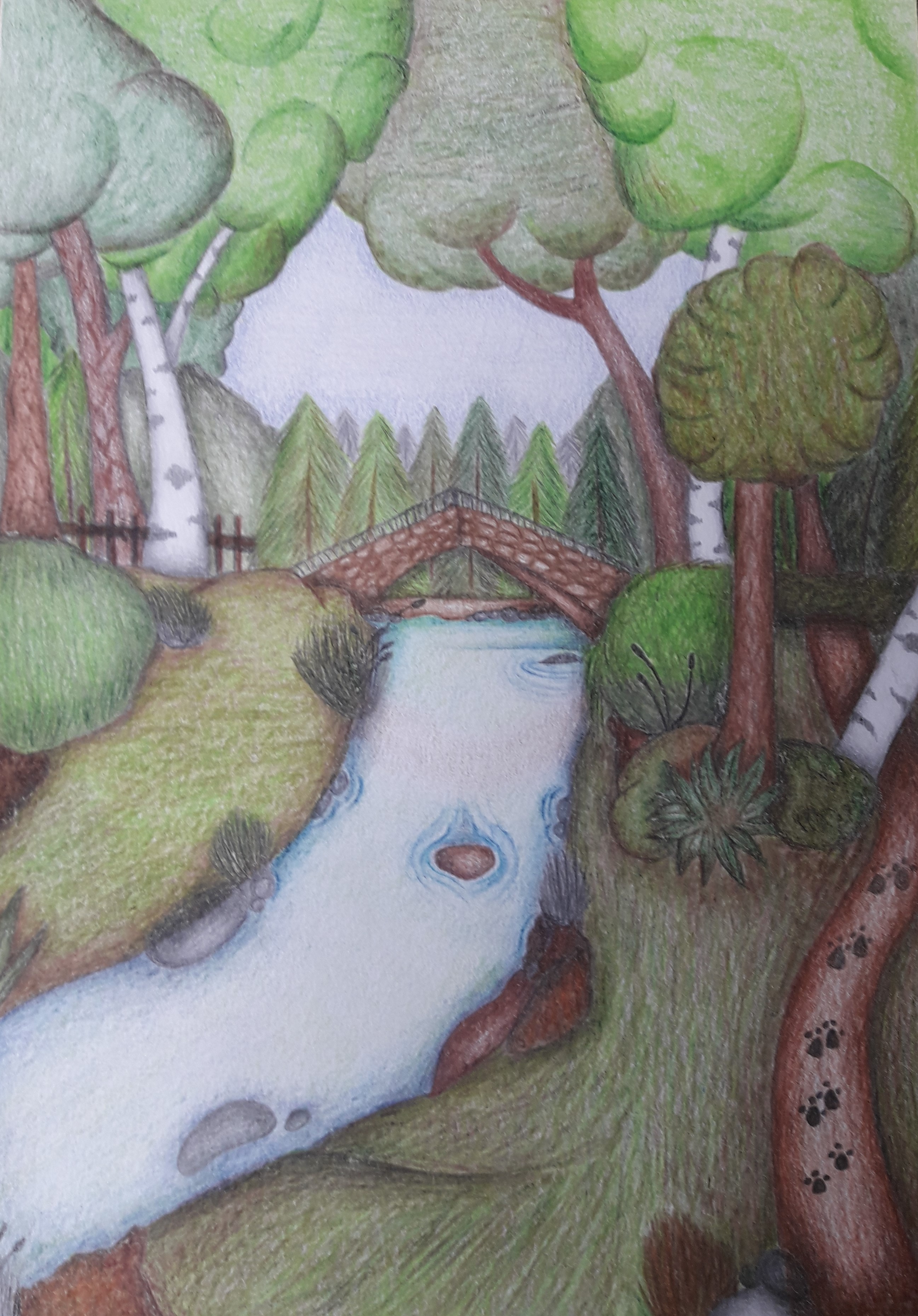 V. kategorie - 2.místo