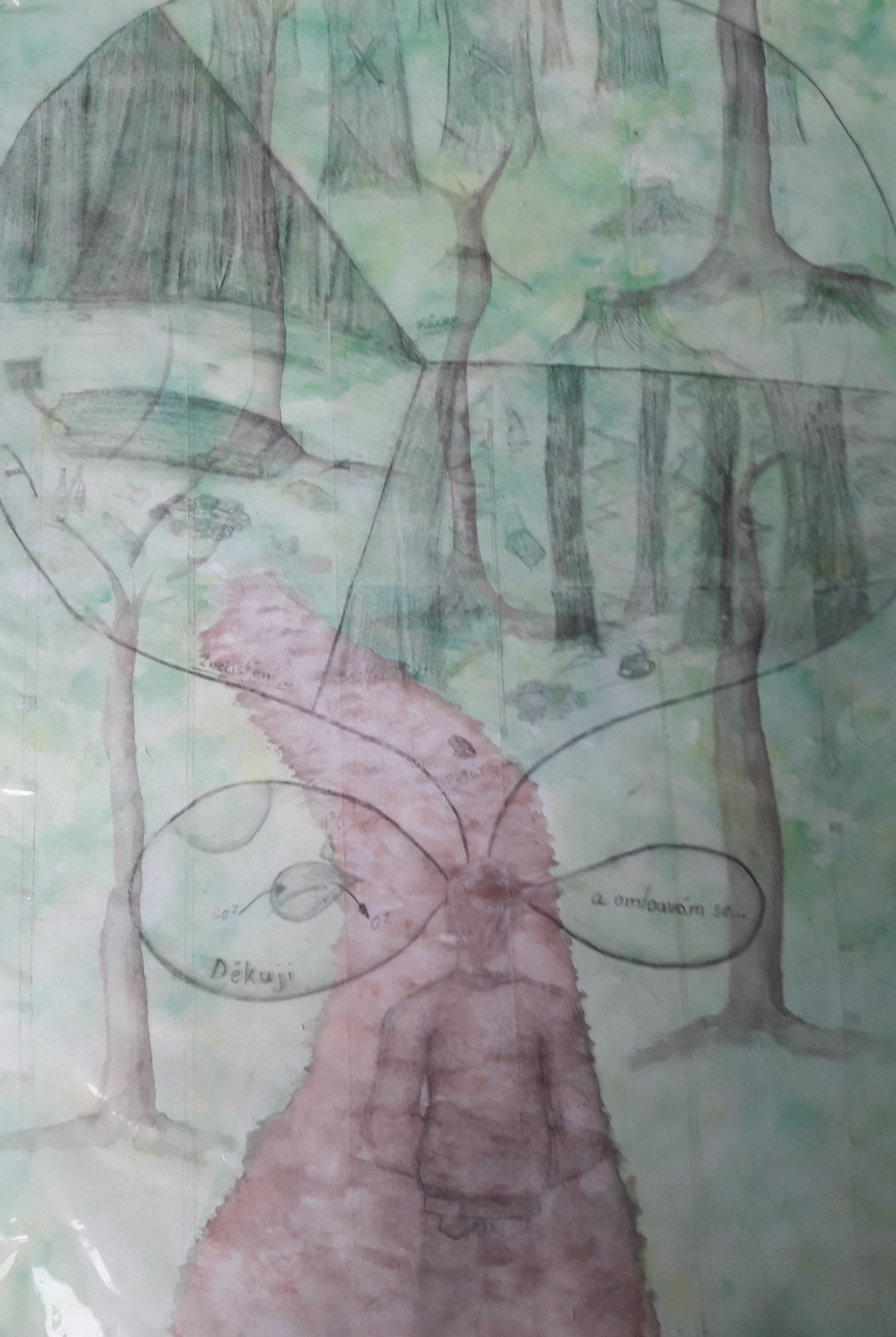 V. kategorie - 3.místo