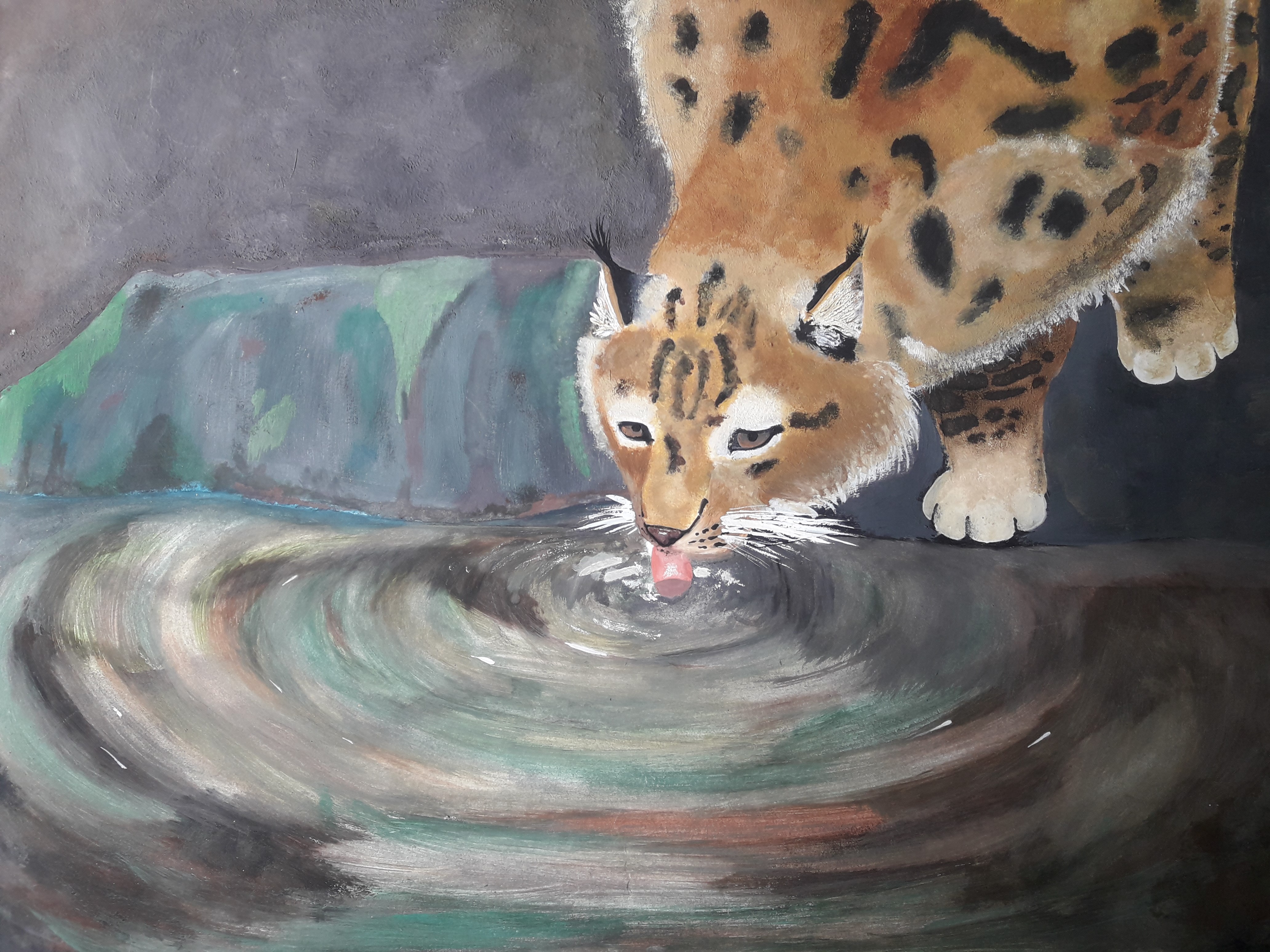 VI. kategorie - 1.místo