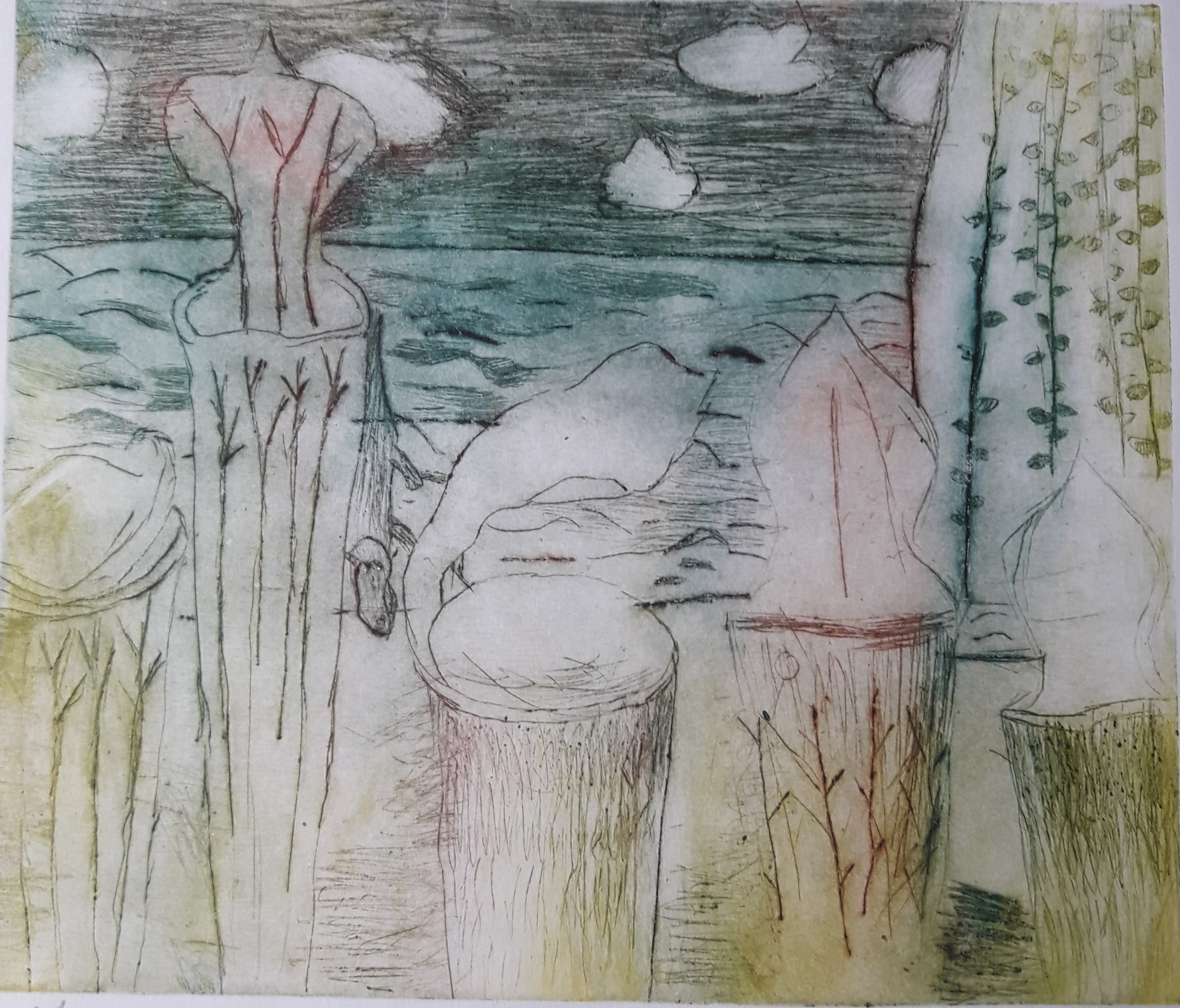 VI. kategorie - 2.místo