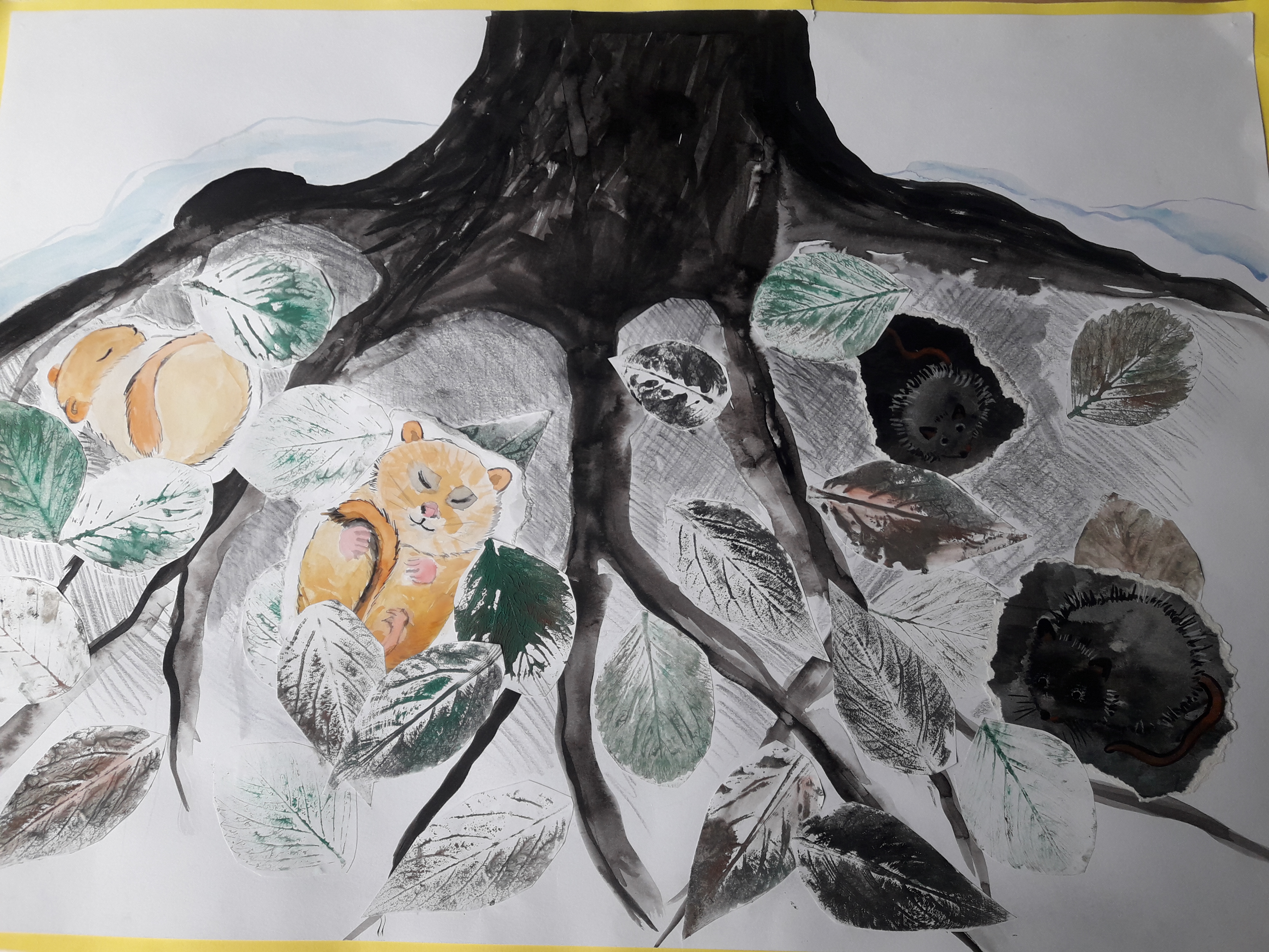 VI. kategorie - 3.místo