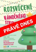 Rozsvícení vánoční stromu