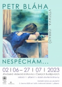 Nespěchám... Petr Bláha / Obrazy