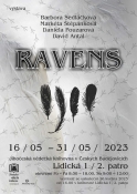 Ravens / výstava studentských prací
